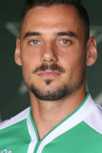 Πάλλας Βασίλης