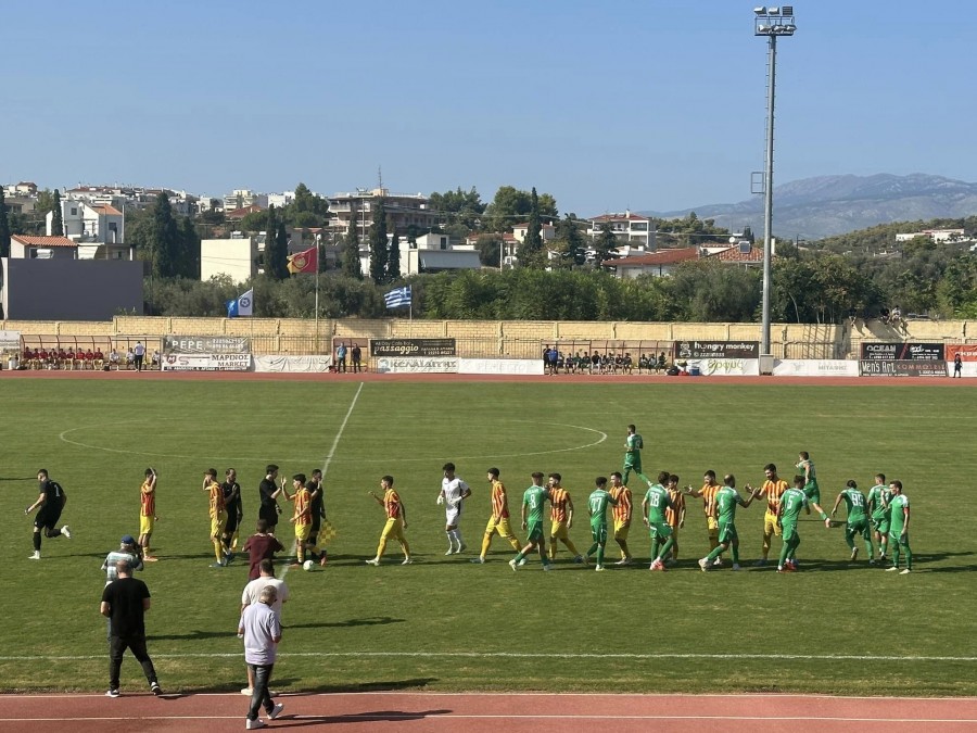 Νέα Αρτάκη-Παναργειακός 2-3 (video)