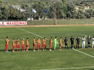 Μαλεσίνα-Νέα Αρτάκη 1-1 (video)