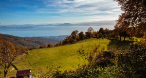 Πάει Βόλο ο Ηρακλής